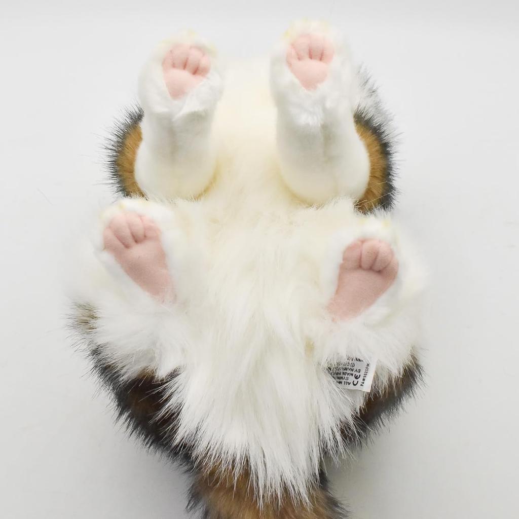 BH8154 HANSA Norwegian Forest Cat 35