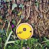 Fairy Door Miniature Garden Decor Wooden Craft For Home And Garden Diy Accent