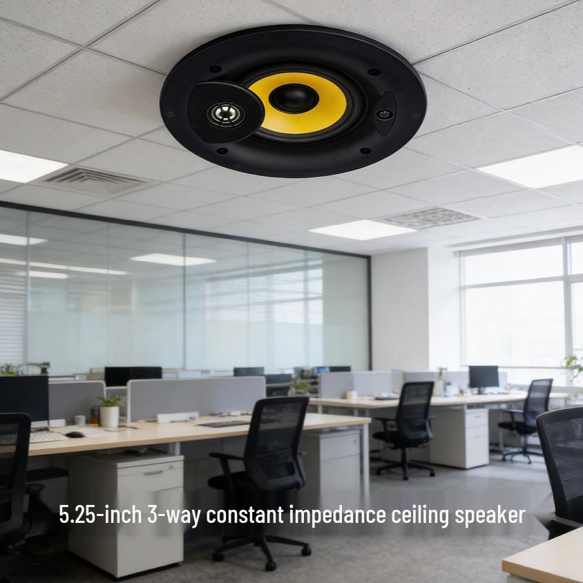Tianlai 5.25" Frameless Ceiling Speaker - Hi-Fi Sound Quality for Background Music