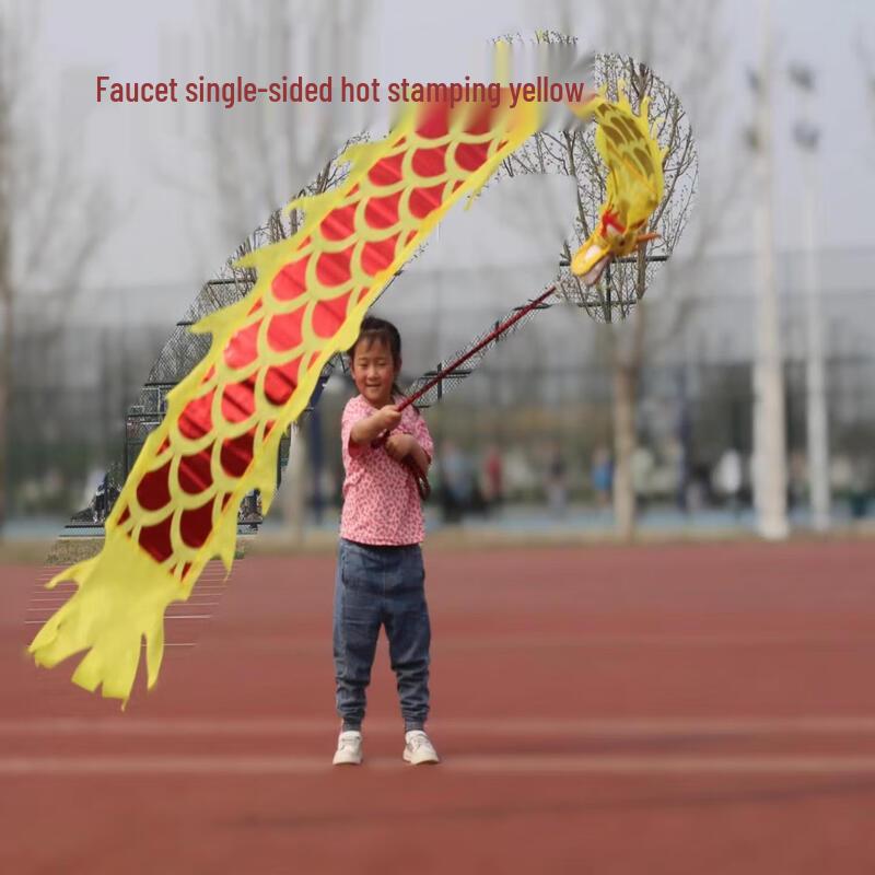 Beginner Dragon Head Dance Ribbon