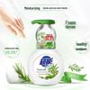 Chao Neng Antibacterial Foaming Hand Wash