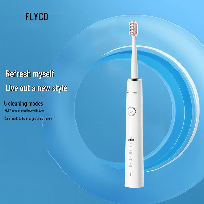 

FLYCO Sonic Electric Toothbrush for Adults CN plug (adapter included)