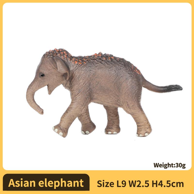 

Realistic Wild Elephant Action Figure Toy - Animales Collection Safari Wildlife Model designed for Children and Collectors