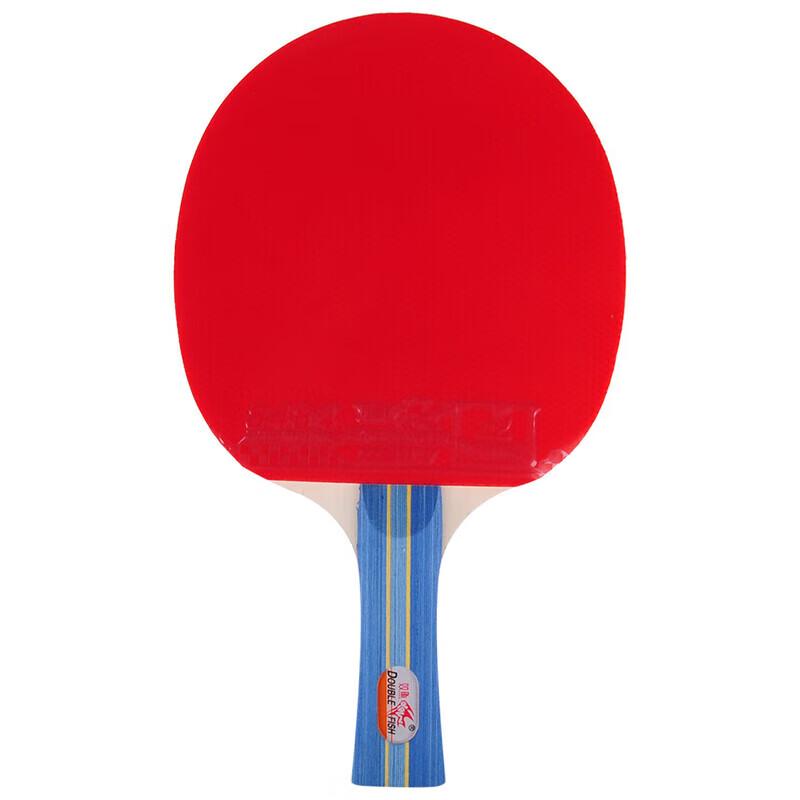 Double Fish Table Tennis Racket Set