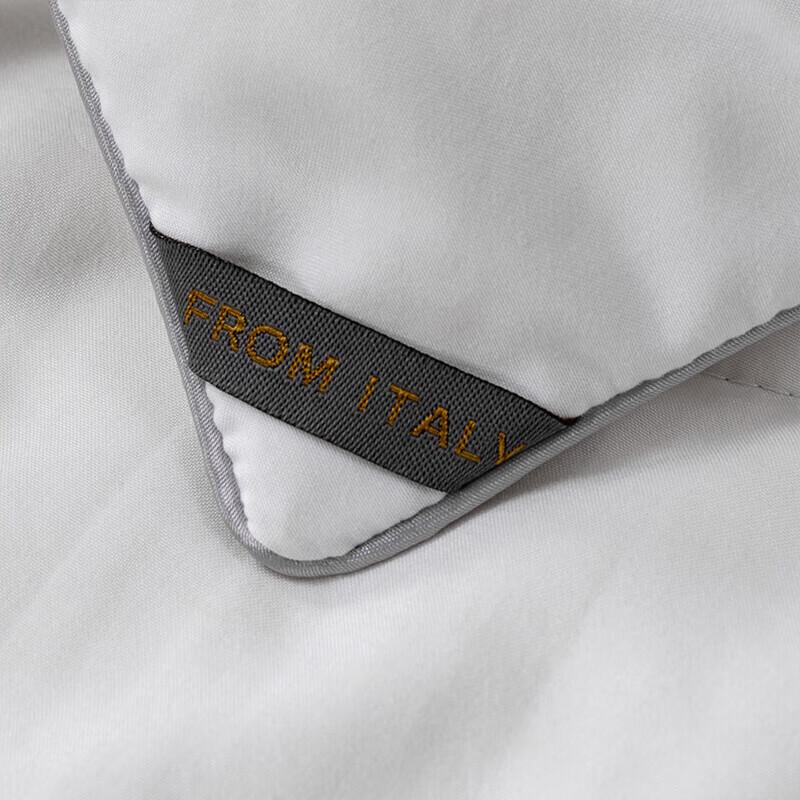 Softnie Lanyue Series Mulberry Silk Quilt