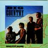 7inch Record BIG COUNTRY  Harvest Home COUNT1 PHONOGRAM 1982 UK Rock Used