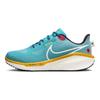 Nike Air Zoom Vomero 17 Prm Scarpe da Basket da Uomo Comode Antiscivolo Resistenti all'Usura a Collo Basso Sneaker Uomo Bianco Blu FN4268-300