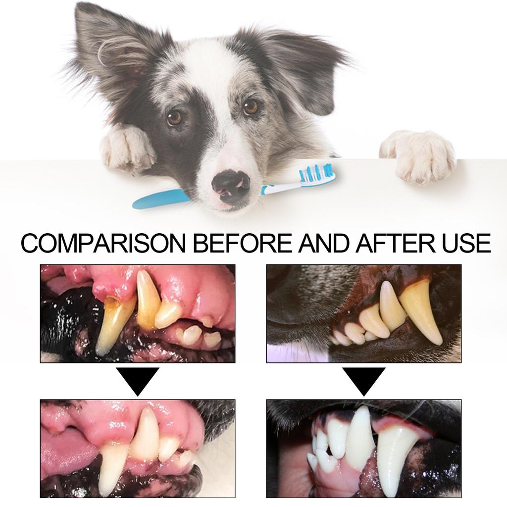 Yegbong Pet Cleaning Toothpaste Pet Cleaning Tartar Tooth Stain Repair Tooth Cleaning White Cat and Dog Oral Cleaning, Repair and Care