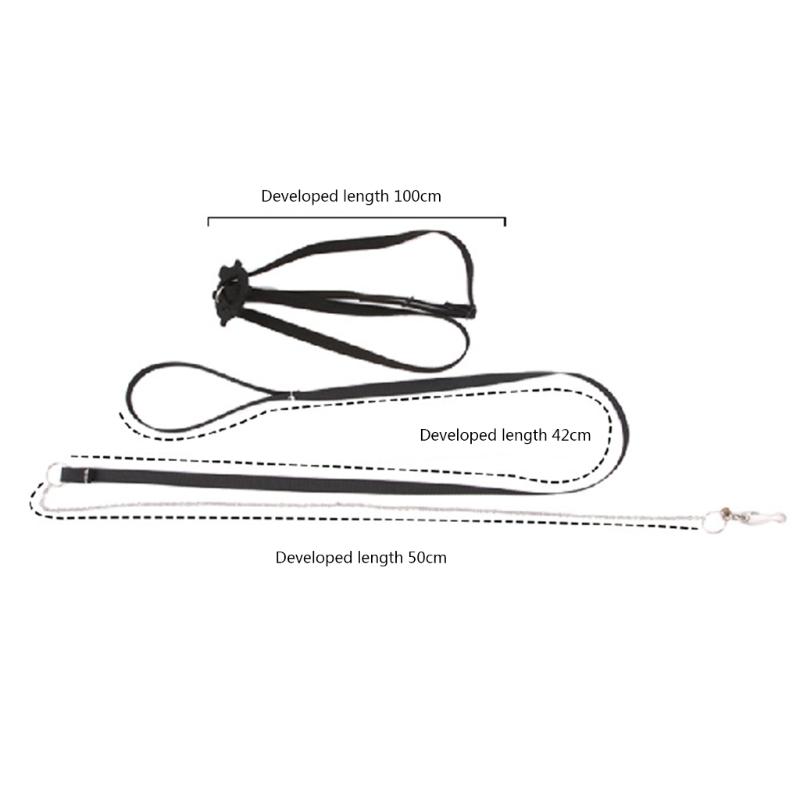 Imbracatura E Guinzaglio Per Drago Barbuto - Regolabile, In Finta Pelle, Per Passeggiate All'aperto, Addestramento, Piccoli Rettili