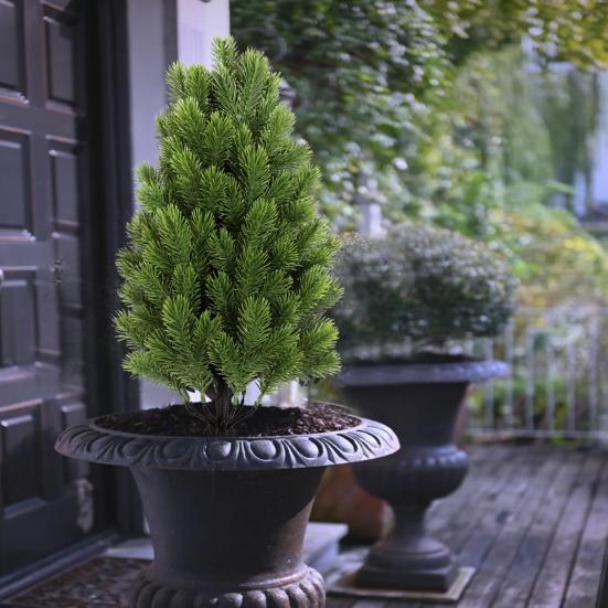 Artificial Cedar Topiary Tree with Stake Lifelike Faux Cedar Pines Christmas Tree UV Resistant Simulated Shrubs for Front Porch Outdoor Decor