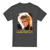 Labyrinth Unisex Adult Jareth The Goblin King Heather T-Shirt