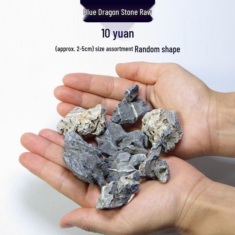 Azure Dragon Aquarium and Bonsai Landscaping Stone Set