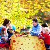 Fall Maple Leaves Tablecloth Thanksgiving Fall Party Table Cover Autumn Maple Leaves Table Cover Fall Plastic Table Decoration for Harvest Festival