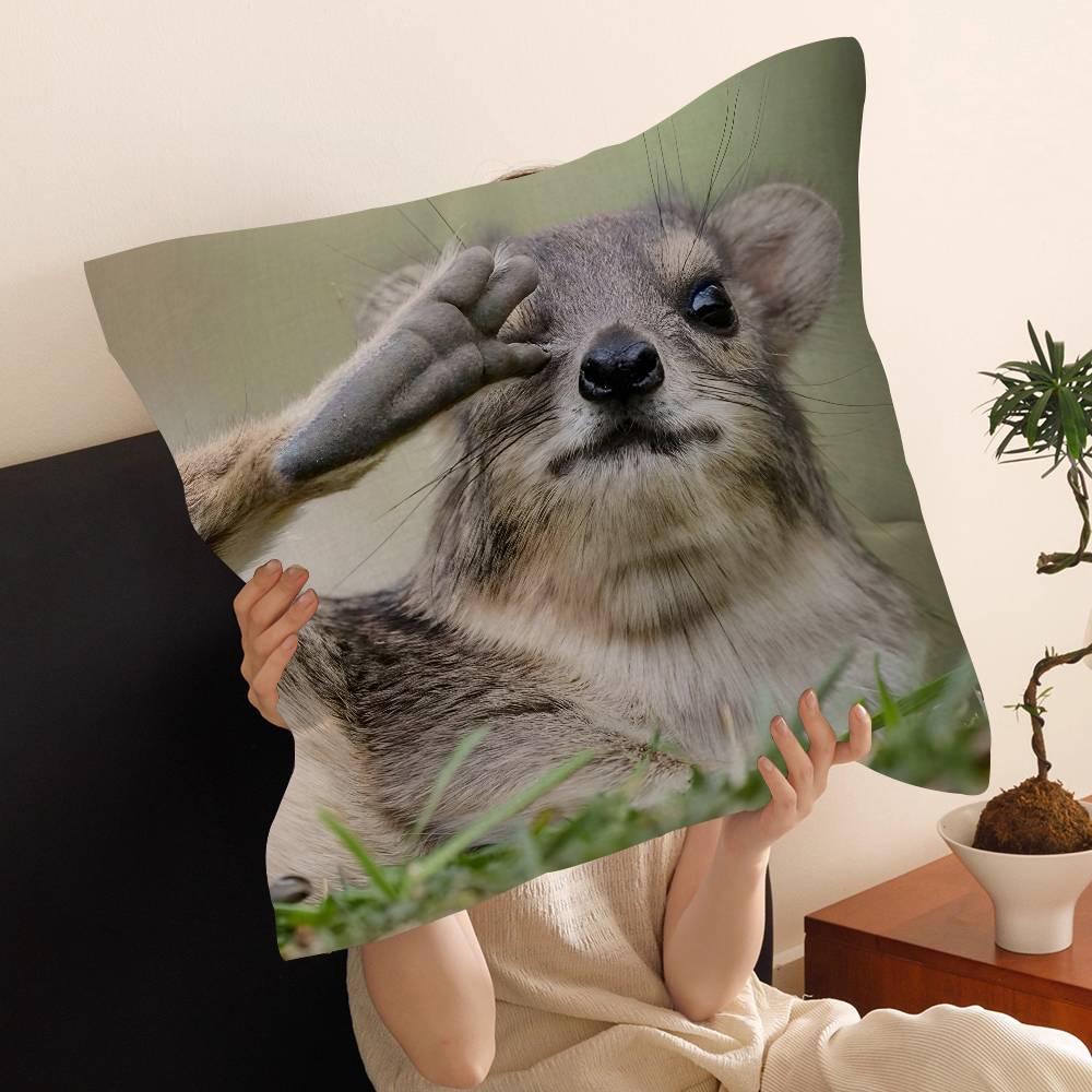 Rock Hyrax Animal Cushion Cover Pillow Cover Decor Pillowcase Printed Cushion Case for Couch