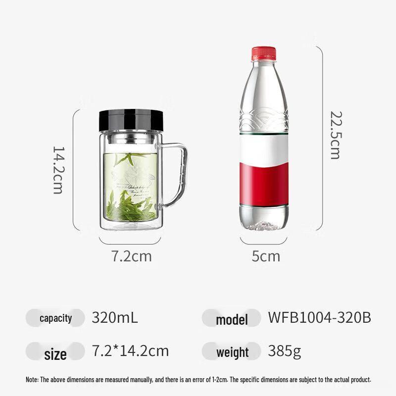 Fuguang Double Wall Borosilicate Glass Tea & Water Bottle with Infuser