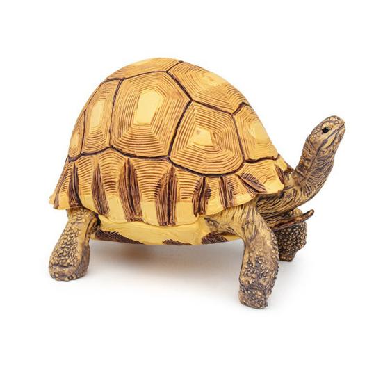 Simulation Turtle Model Realistic Tortoise Figurine Miniature Animal Educational Toy Home Office Desktop Decoration Ornament