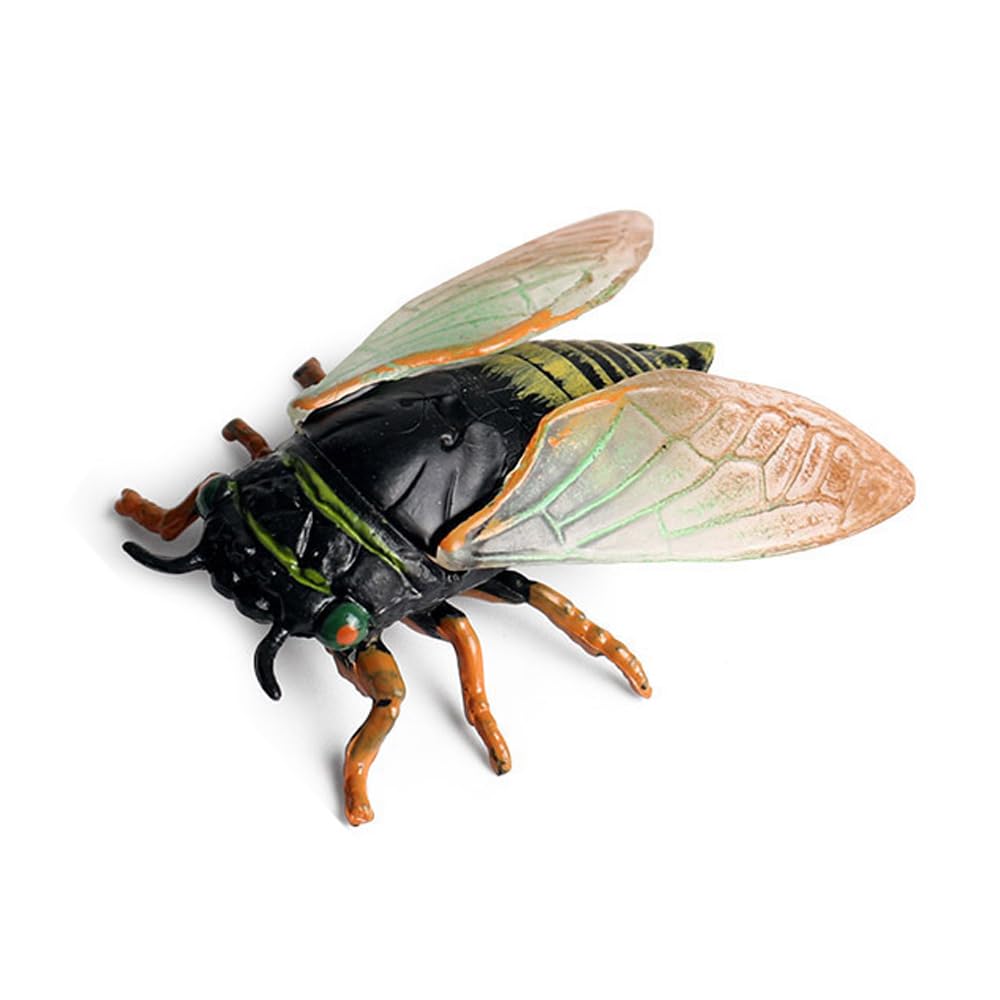 

Реалистичная фигурка насекомого - Игрушка Цикада, 10 г, Фигурка животного, Коллекционная, Игрушка-жук, Подарок