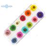 1 boks 10g tørket blomst negldekorasjon 12 farger Naturlig blomsterblandet tørrblomst DIY smykker Charms Manikyr dekor UV Gel Polish Nail Art Supplies