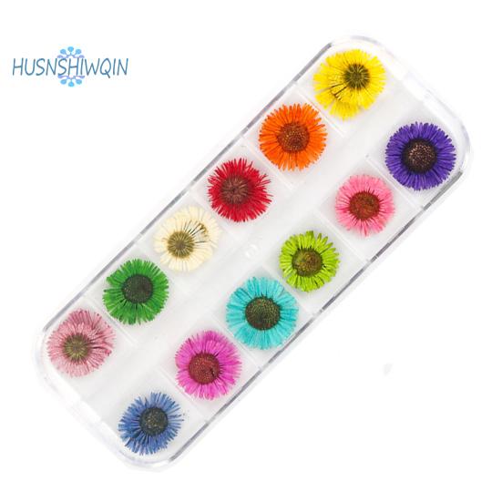 1 boks 10g tørket blomst negldekorasjon 12 farger Naturlig blomsterblandet tørrblomst DIY smykker Charms Manikyr dekor UV Gel Polish Nail Art Supplies