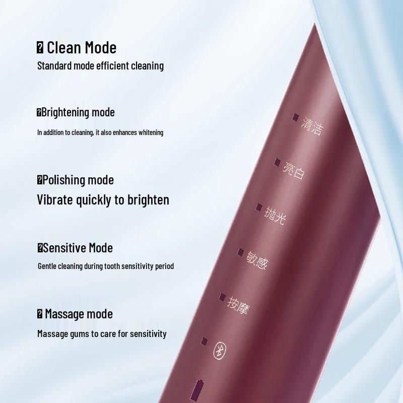 FLYCO FT7205 Sonic Electric Toothbrush CN Plug (adapter Included)