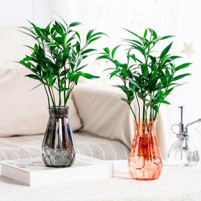 Modern Plastic Bud Vase Transparent Decorative Vase Flower Holder Centerpiece Vase for Home Wedding Birthday Parties Decor