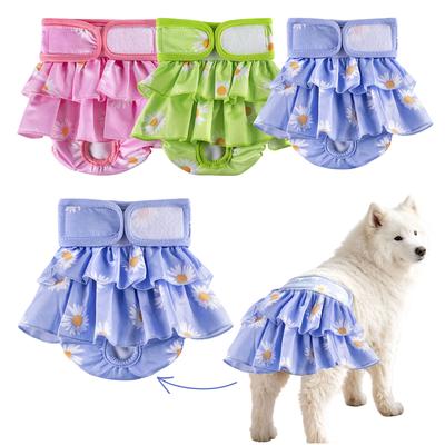 Giyim ve ayakkabı – Köpekler için etekler