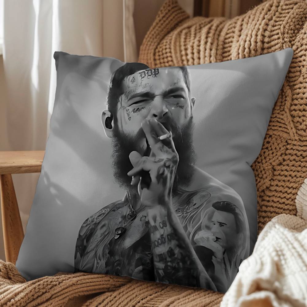 Take My Heart Post Malone Pillow Case Antidustmite Pillowcase Invisible zipper silky short plush Sofa cushion cover
