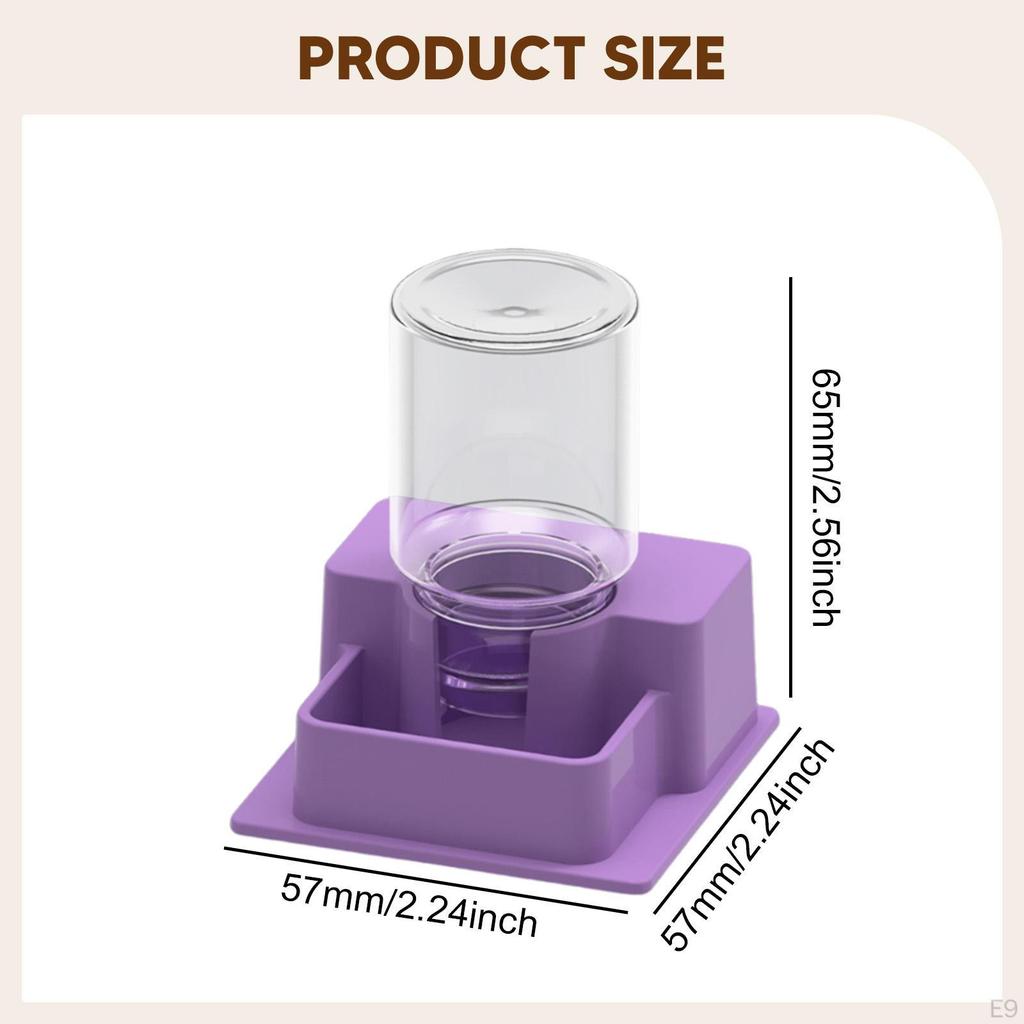 Reptile Feeder Automatic Water Dispenser Tank and Aquarium Accessories for