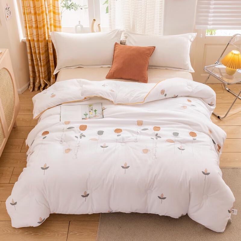 Little Bear BH-1722-2 Skin-Friendly Warm Winter Quilt