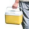 6L Camping Kühlbox Mehrzweck Isolierte Eisbox Outdoor Hartkühler für Camping Picknick Strand Getränk Getränk Angeln