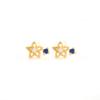 925 Sterling Silver French Simple Hollow Star Stud Earrings Women Light Luxury Temperament Wedding Jewelry Gift