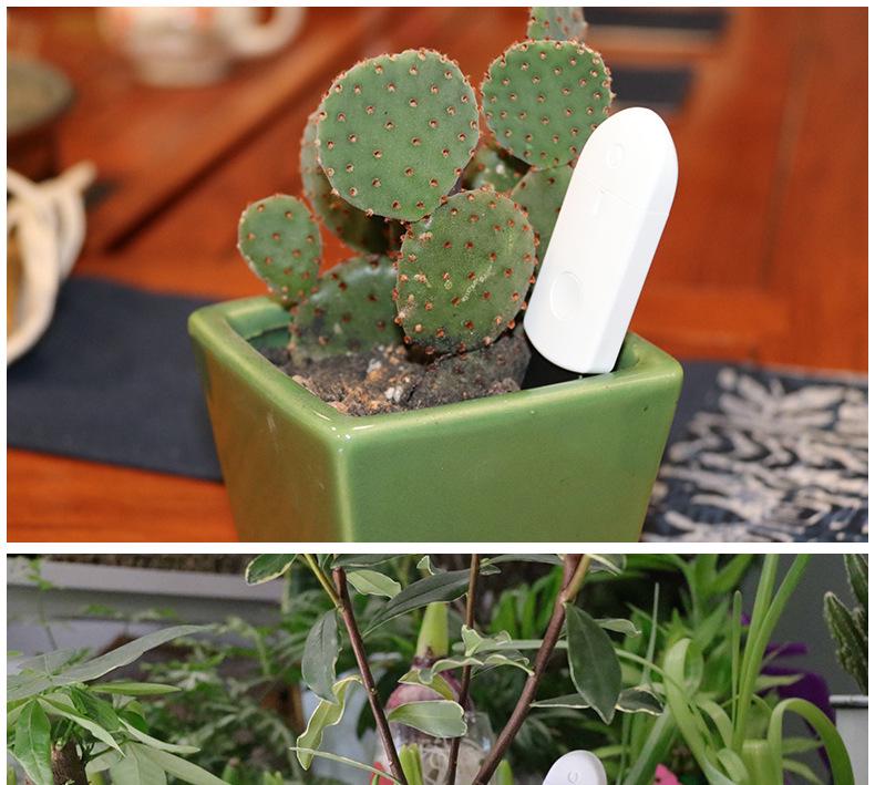 Smart Plant Soil Moisture & Humidity Meter for Horticulture