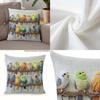 2D-Druck Ohne Inlett Bunter Papagei Niedlicher Vogel Dekorative Kissenhülle Hautfreundlich Weich Kurzer Plüsch Sofakissen Wohnzimmer Nachttisch Kissenbezug