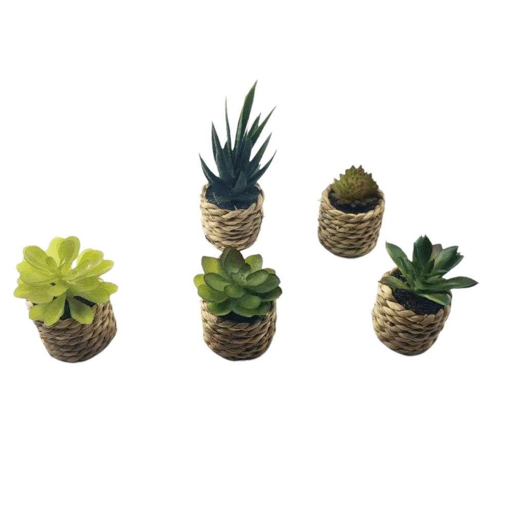 Fake Simulation Potted Plants Mini Potted Plants Doll House Decoration Office Decor
