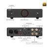 AIYIMA A20 Power Amplifier