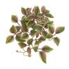 Plant Artificial 3d Printing Ipomoea Batatas Leaf Decor Home Interior Decor
