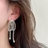 Crystal Fringed Bow Stud Earrings Female Niche Unique Personality Exaggerated Fashion Temperament Fashion Versatile Earrings Earrings