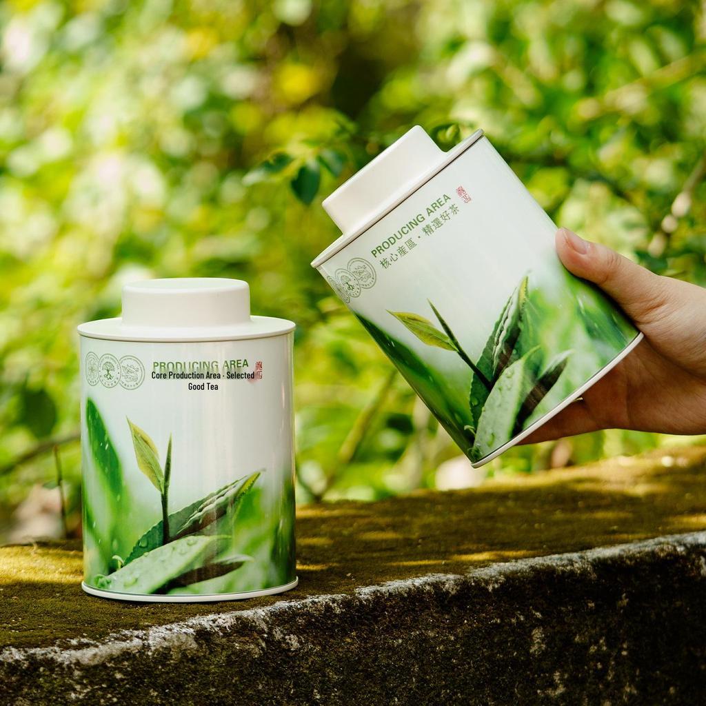 Fresh Green Tea Gift Box: Longjing, Biluochun, Gyokuro Varieties with Towel