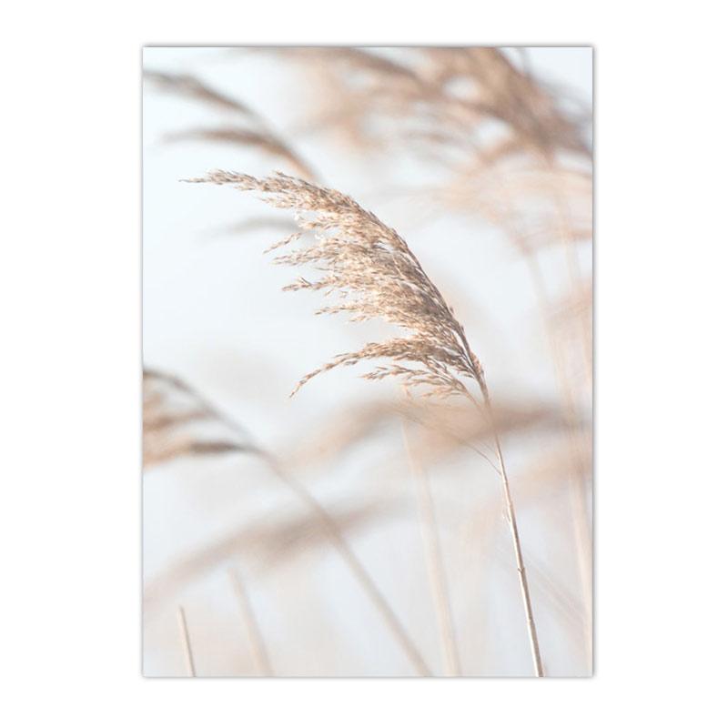 Béžový Bunny Tail Grass Nástěnné plakáty Přírodní pampy Reed Obraz na plátně Květinový umělecký plakát Malba Severské nástěnné obrazy Home Decor