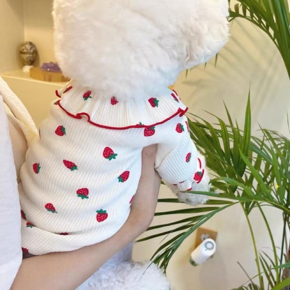 Fashion Pet Strawberry Base Shirt Soft Dog Vest Comfortable Pet Clothes  Spring