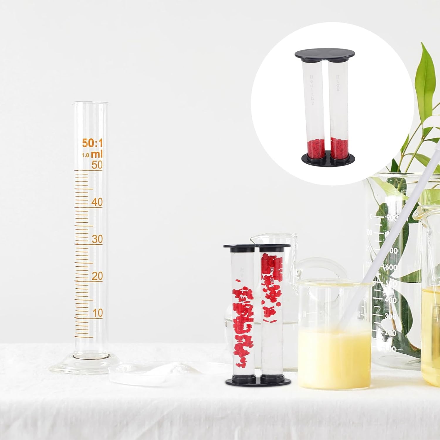 

PartyKindom Model for Medical Teaching Educational Display for Comparison Anatomical Demonstration Tool for Schools and Hospitals High-Grade Material