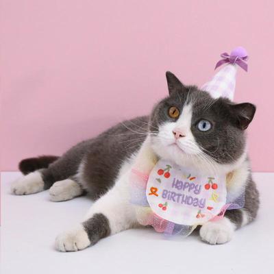 Birthday Cone Hat Cape Set
