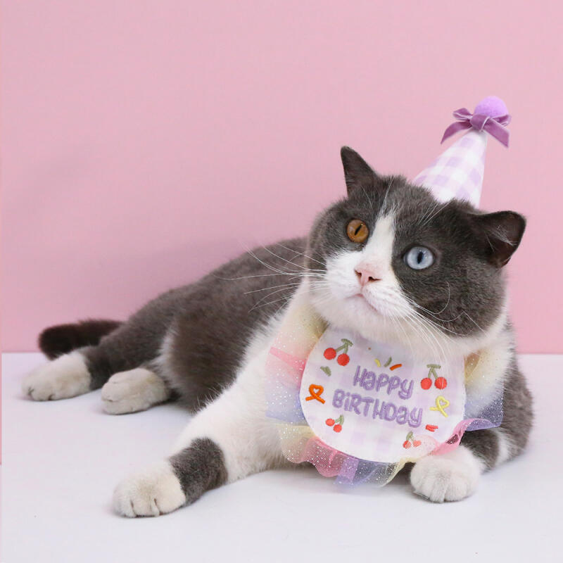 

Birthday cone hat cape set pink