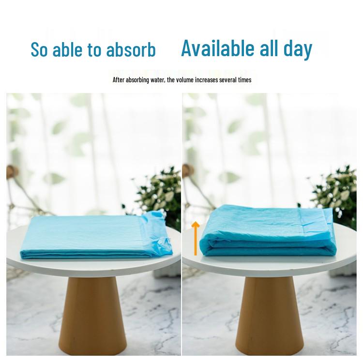 Thickened Deodorizing Pet Pads - Absorbent Disposable Diapers for Dogs & Cats