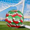 Amed Sk Crest Design Size 5 Soccer Ball, Suitable for Training and Matches, High-Elasticity, Wear-Resistant Material Gift for Fan
