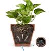 100 Pieces Set Bonsai Pots Mesh Pad Flower Pot Drainage Mat