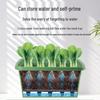 Maididuo Self-Watering Deep Balcony Vegetable Planter
