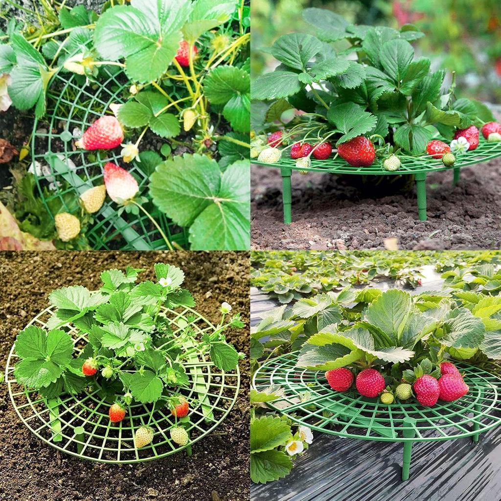 Strawberry Frame Stands Planting Cage Balcony Rack Fruit Growing Support Holder Net Tomatoes Climbing Vine Pillar Garden Tools