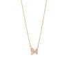 Elegant Shell Butterfly Necklace for Women - Light Luxury Titanium Steel Clavicle Chain Jewelry