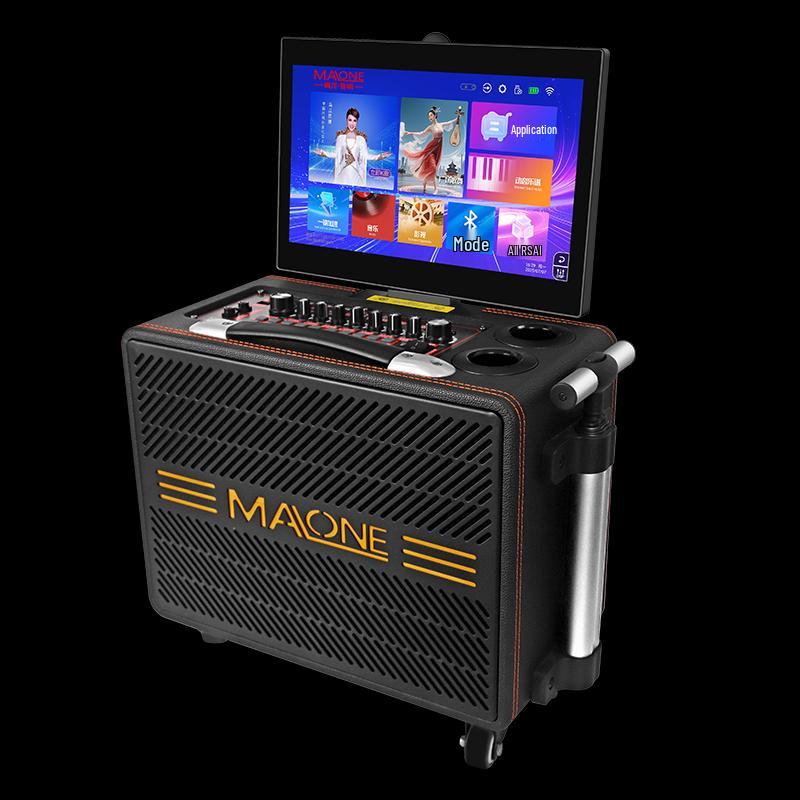 

MALONE GT-809S Portable KTV & Live Streaming Speaker CN plug (adapter included)